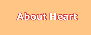 About Heart
