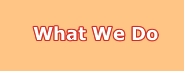 What We Do
